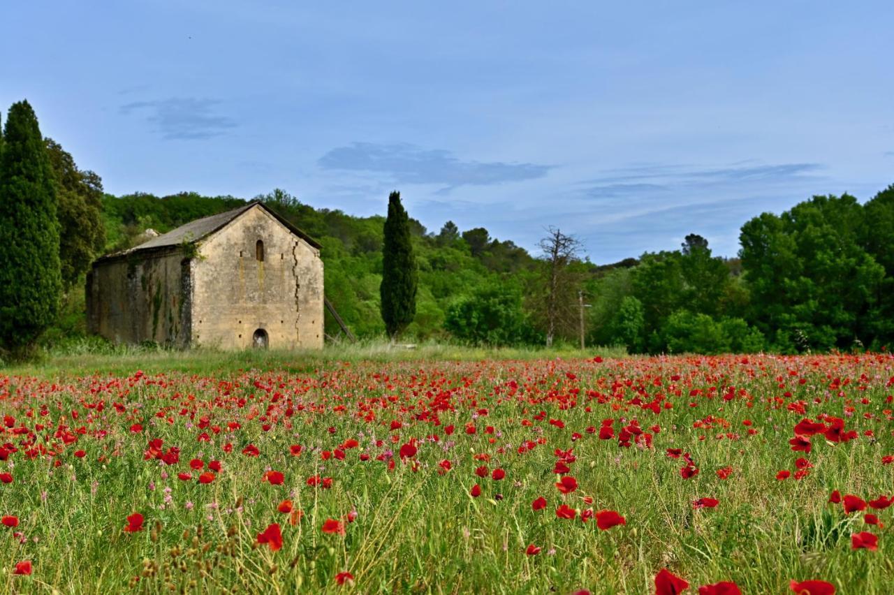 Gite De Charme "Puisneuf" Proche De Uzes Villa Flaux Eksteriør billede