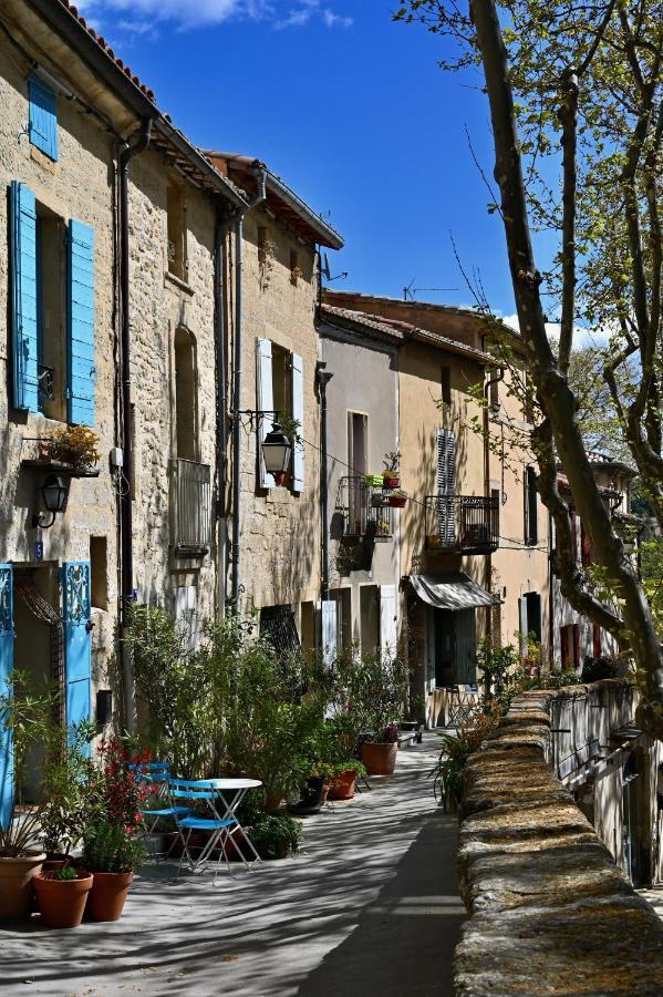 Gite De Charme "Puisneuf" Proche De Uzes Villa Flaux Eksteriør billede