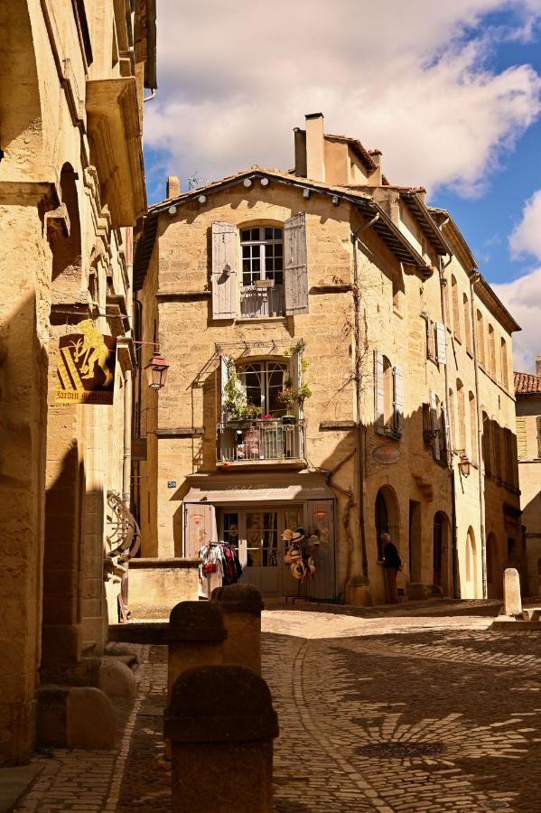 Gite De Charme "Puisneuf" Proche De Uzes Villa Flaux Eksteriør billede