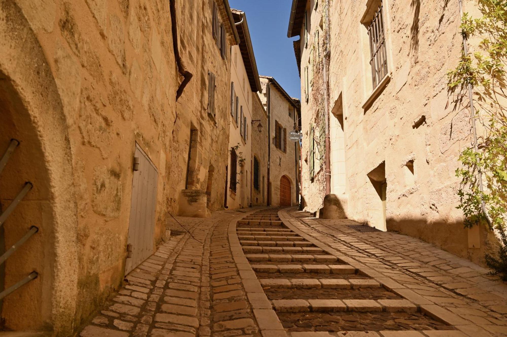 Gite De Charme "Puisneuf" Proche De Uzes Villa Flaux Eksteriør billede