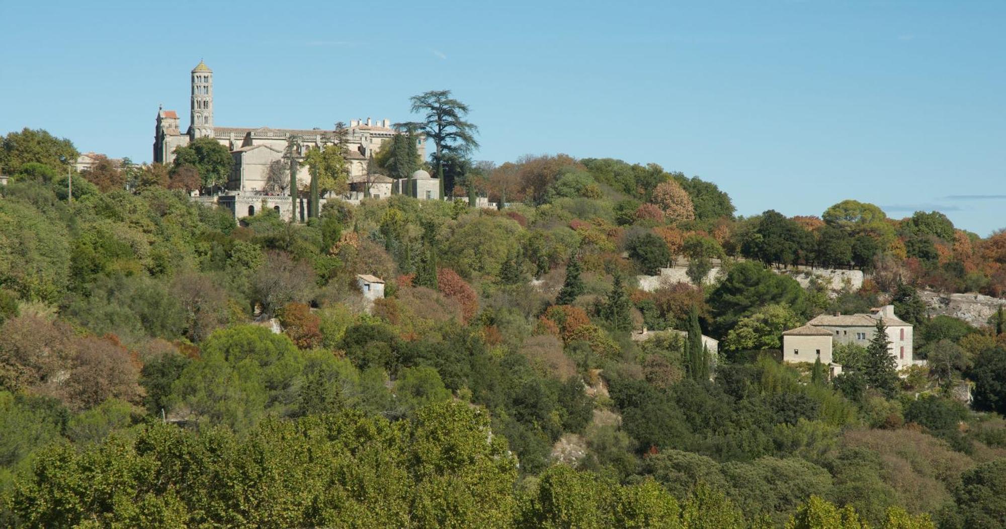 Gite De Charme "Puisneuf" Proche De Uzes Villa Flaux Eksteriør billede